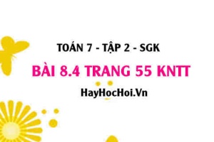 Bài 8.4 trang 55 Toán 7 Tập 2 Kết nối tri thức